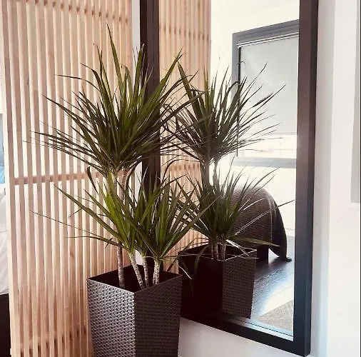 Apartment Plaza Mayor Luxury